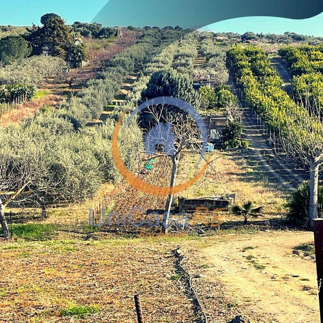 Foto 1 - Agricultural land Contrada Accia
 
snc, Santa Flavia - photo 1