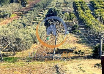 Foto 1 - Agricultural land Contrada Accia
snc, Santa Flavia - photo 1