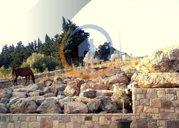 Foto 28 - Farm Contrada Arduino, Collesano - photo 28