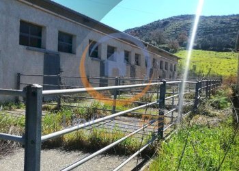 Foto 29 - Farm Contrada Arduino, Collesano - photo 29