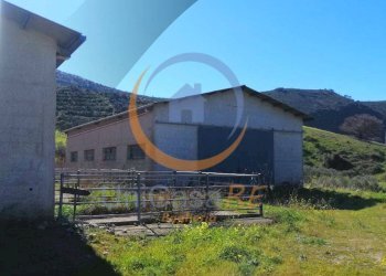 Foto 30 - Farm Contrada Arduino, Collesano - photo 30