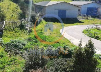 Foto 31 - Farm Contrada Arduino, Collesano - photo 31