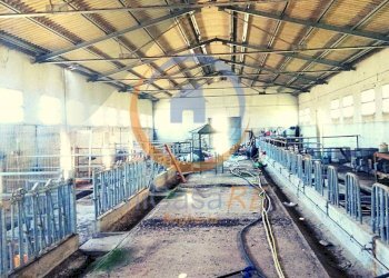 Foto 33 - Farm Contrada Arduino, Collesano - photo 33