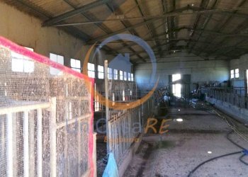 Foto 34 - Farm Contrada Arduino, Collesano - photo 34