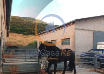 Foto 36 - Farm Contrada Arduino, Collesano - photo 36