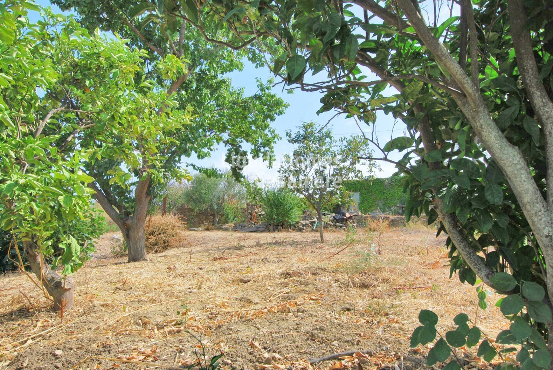 Foto 2 - Building land via Peirona, Santo Stefano al Mare - photo 2