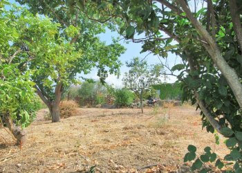 Foto 2 - Terreno edificabile via Peirona, Santo Stefano al Mare - foto 2