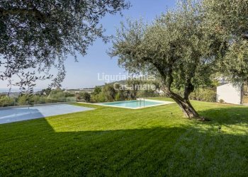 Foto 9 - Villa Regione Fascia Longa, Taggia - foto 9