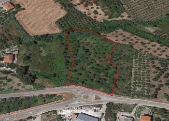 Foto 1 - Terreno agricolo Giovanni XXIII, Cupello - foto 1
