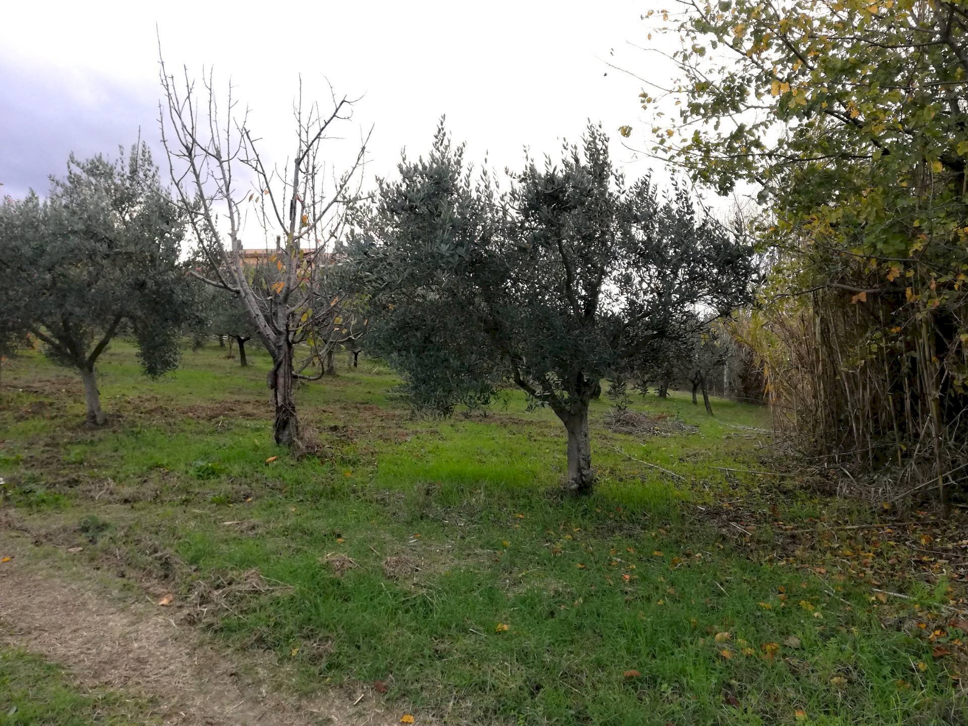 Foto 2 - Terreno edificabile Aragona, Cupello - foto 2