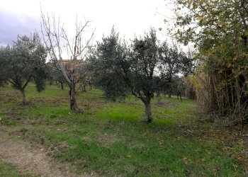 Foto 2 - Terreno edificabile Aragona, Cupello - foto 2