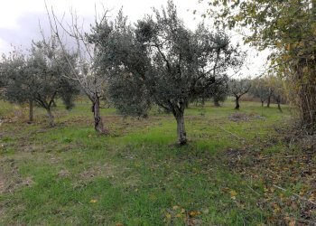 Foto 3 - Terreno edificabile Aragona, Cupello - foto 3