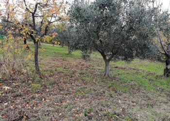 Foto 5 - Terreno edificabile Aragona, Cupello - foto 5