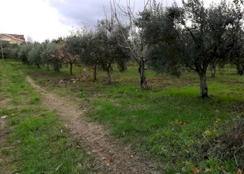 Foto 6 - Terreno edificabile Aragona, Cupello - foto 6