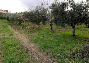 Foto 7 - Terreno edificabile Aragona, Cupello - foto 7