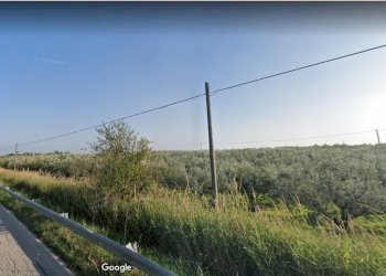 Foto 1 - Terreno agricolo Polercia, Vasto - foto 1