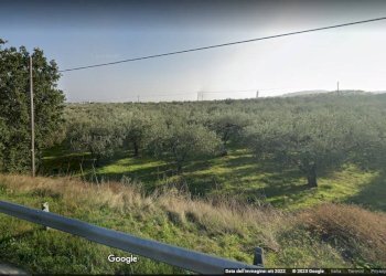 Foto 3 - Terreno agricolo Polercia, Vasto - foto 3