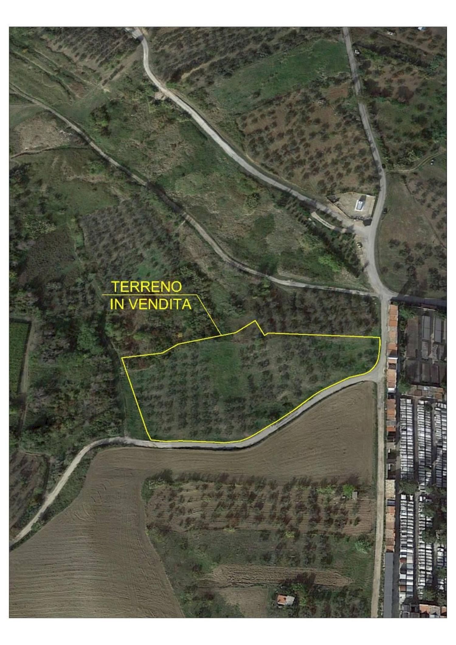 Foto 1 - Terreno agricolo Cupello - foto 1