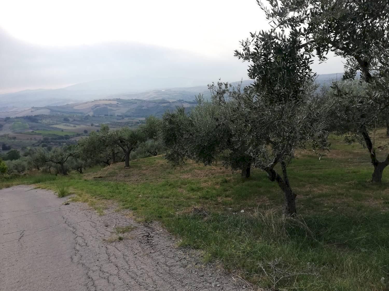 vista - Terreno agricolo Cupello - foto 2