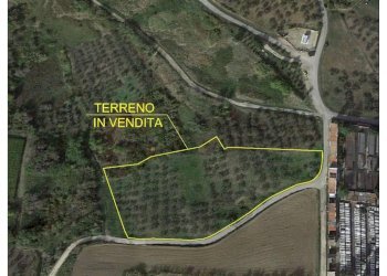 Foto 1 - Terreno agricolo Cupello - foto 1