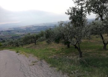 vista - Terreno agricolo Cupello - foto 2