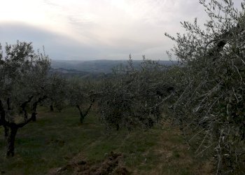 vista - Terreno agricolo Cupello - foto 3