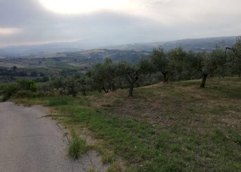 vista - Terreno agricolo Cupello - foto 4