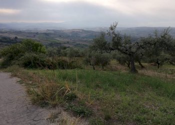 vista - Terreno agricolo Cupello - foto 5