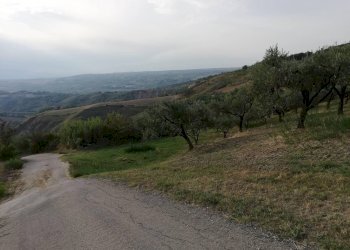 vista - Terreno agricolo Cupello - foto 7
