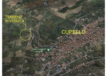 Foto 8 - Terreno agricolo Cupello - foto 8