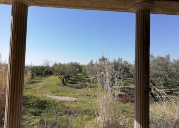 giardino - Villa Cupello - foto 6