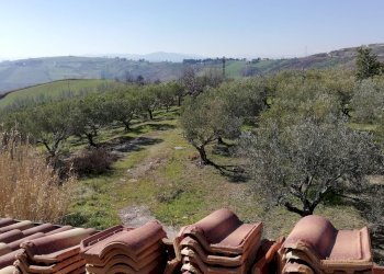 vista - Villa Cupello - foto 16