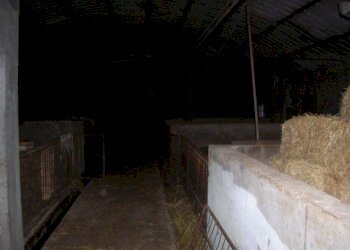 Foto 3 - Locale Commerciale Provinciale 150, Carpineto Sinello - foto 3