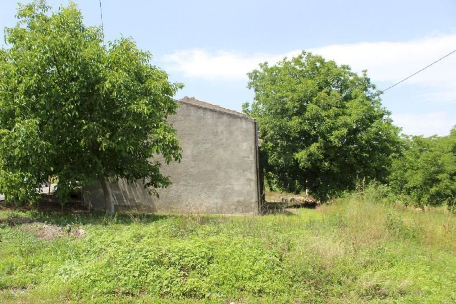 giardino - Casa indipendente del Convento, Palmoli - foto 2