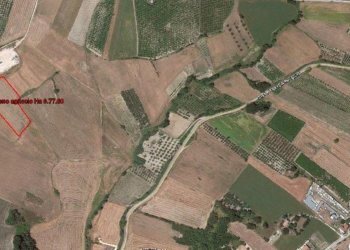 Foto 1 - Terreno agricolo Provinciale Trignina, Cupello - foto 1