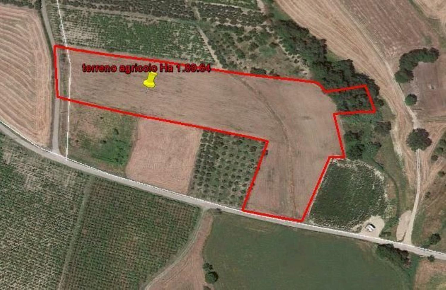 Foto 2 - Terreno agricolo senza nome, Cupello - foto 2