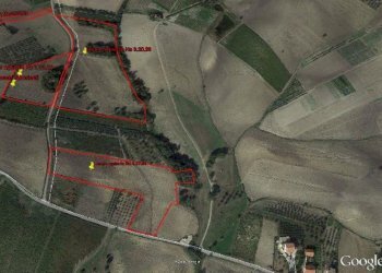Foto 1 - Terreno agricolo senza nome, Cupello - foto 1