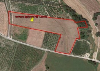 Foto 2 - Terreno agricolo senza nome, Cupello - foto 2