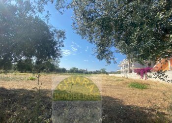 Foto 22 - Terreno edificabile dei Bontempi, Vasto - foto 19