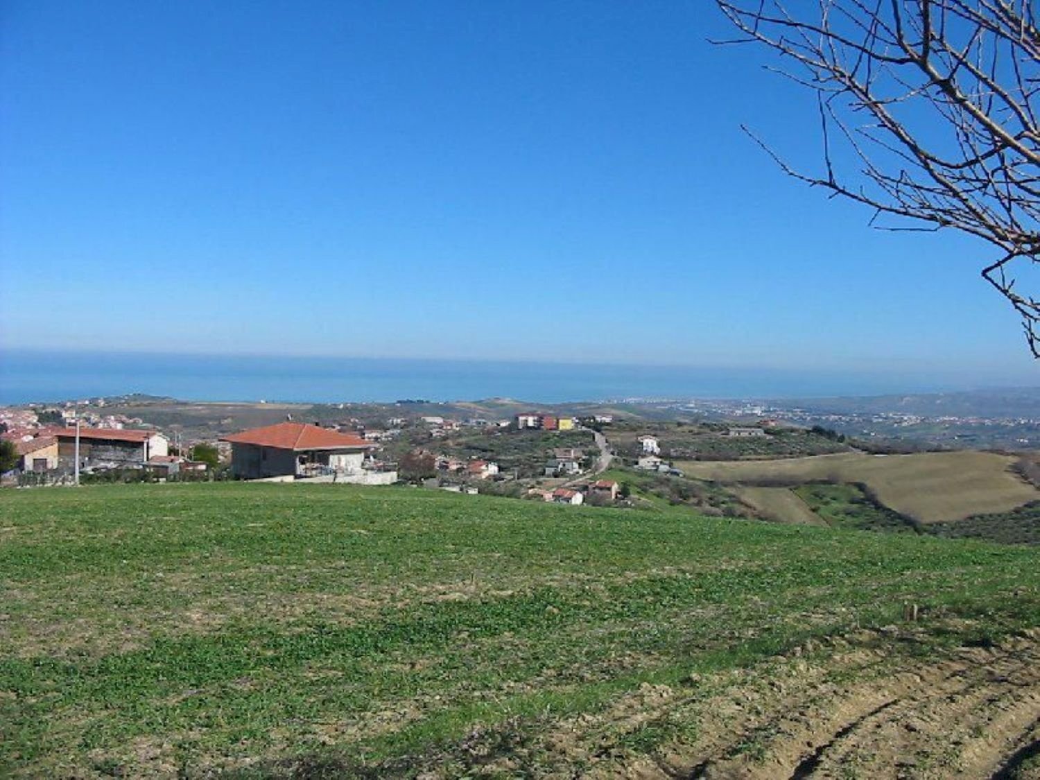 Foto 2 - Terreno agricolo Provinciale 212 ex Strada Statale 86, Cupello - foto 2