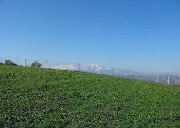 Foto 3 - Terreno agricolo Provinciale 212 ex Strada Statale 86, Cupello - foto 3