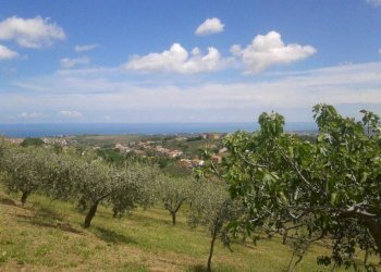 Foto 7 - Terreno agricolo Provinciale 212 ex Strada Statale 86, Cupello - foto 7