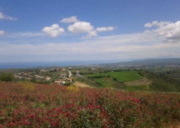 vista - Terreno agricolo Provinciale 212 ex Strada Statale 86, Cupello - foto 15