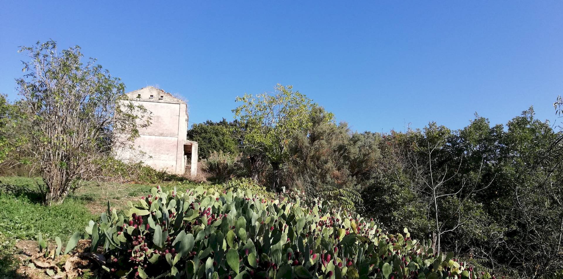 Foto 1 - Rustico contrada Tratturo, Monteodorisio - foto 1