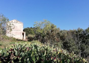 Foto 1 - Rustico contrada Tratturo, Monteodorisio - foto 1