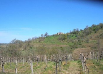 vista - Rustico contrada Tratturo, Monteodorisio - foto 5