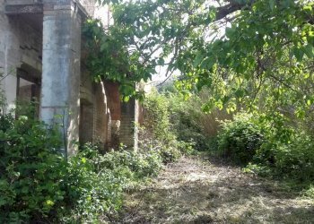 giardino - Rustico contrada Tratturo, Monteodorisio - foto 6