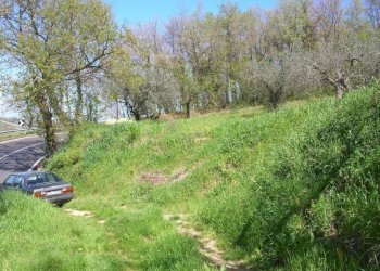 giardino - Rustico contrada Tratturo, Monteodorisio - foto 11