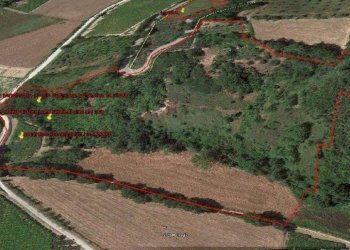 Foto 12 - Rustico contrada Tratturo, Monteodorisio - foto 12