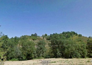 Foto 13 - Rustico contrada Tratturo, Monteodorisio - foto 13